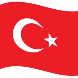 Mehmet Özer